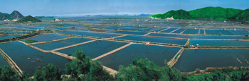 彎管機(jī)系列